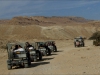 Сафари в пустинята Негев